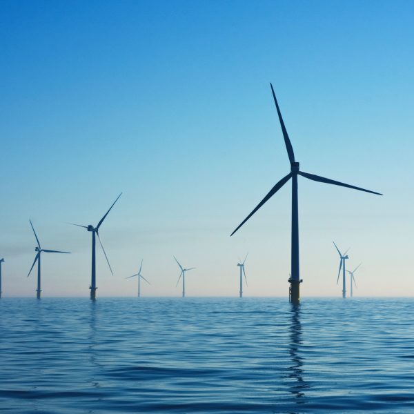 Selon l'EIA, la production d'énergie éolienne et solaire dépassera celle du charbon en 2024